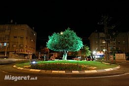 כיכר בנתניה