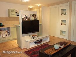 סלון  וקיר תוחם