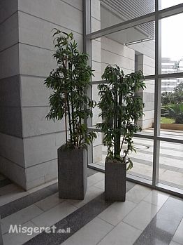 מבט לקיר היציאה מהבניי