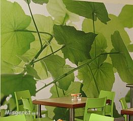 עיצוב פנים-טליה